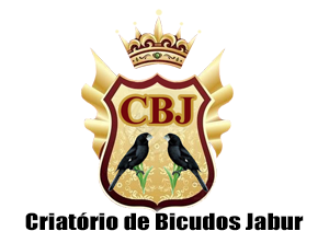 O Bicudo | Criatório de Bicudos Jabur - São Joaquim da Barra/SP